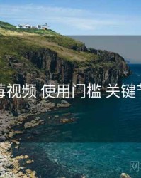 蓝莓视频 使用门槛 关键节点