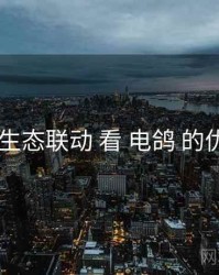 从 生态联动 看 电鸽 的优势