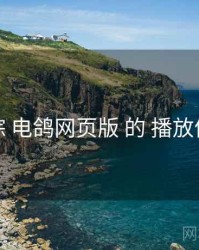 追踪 电鸽网页版 的 播放体验