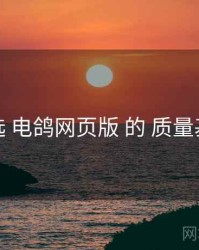 精选 电鸽网页版 的 质量基线