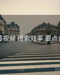 蓝莓视频 搜索效率 要点合辑