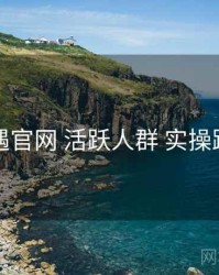 岛遇官网 活跃人群 实操路径