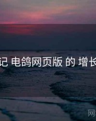 体验记 电鸽网页版 的 增长路径