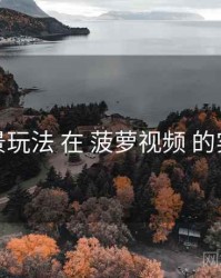 场景玩法 在 菠萝视频 的实操