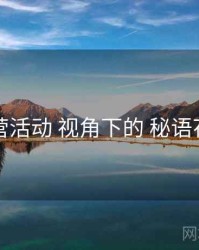 运营活动 视角下的 秘语花园