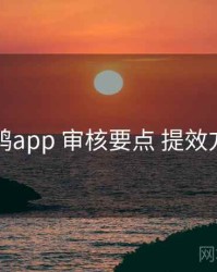 电鸽app 审核要点 提效方案
