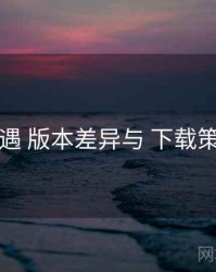 岛遇 版本差异与 下载策略