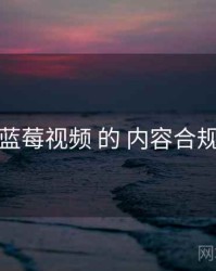 关于 蓝莓视频 的 内容合规 研究