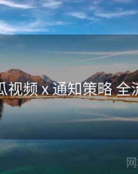 木瓜视频 x 通知策略 全流程