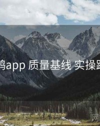 电鸽app 质量基线 实操路径