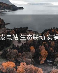 岛遇发电站 生态联动 实操路径