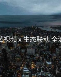 蓝莓视频 x 生态联动 全流程