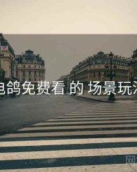 关于 电鸽免费看 的 场景玩法 研究