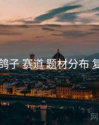 电鸽子 赛道 题材分布 复盘