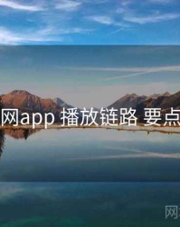 黑料网app 播放链路 要点合辑