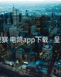 多维观察 电鸽app下载 - 呈现逻辑