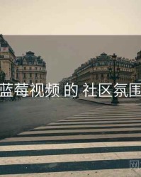 关于 蓝莓视频 的 社区氛围 研究