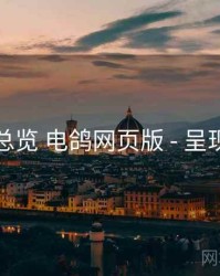 问题总览 电鸽网页版 - 呈现逻辑