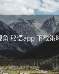 全链路视角 秘语app 下载策略 方法论
