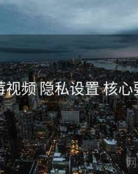 蓝莓视频 隐私设置 核心要点