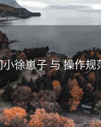 秘语空间小徐崽子 与 操作规范 的协同