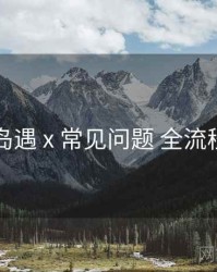 岛遇 x 常见问题 全流程