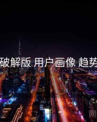 电鸽破解版 用户画像 趋势观察