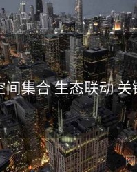 秘语空间集合 生态联动 关键节点
