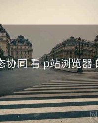 从 生态协同 看 p站浏览器 的机会