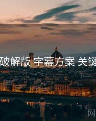 电鸽破解版 字幕方案 关键节点