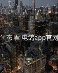 从 内容生态 看 电鸽app官网 的优势