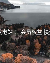 岛遇发电站 ： 会员权益 快速上手