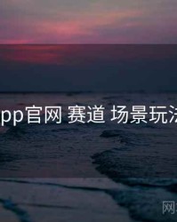 电鸽app官网 赛道 场景玩法 复盘