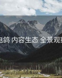 电鸽 内容生态 全景观察