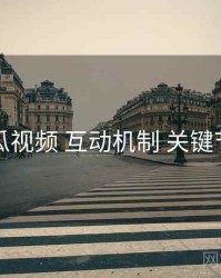 丝瓜视频 互动机制 关键节点