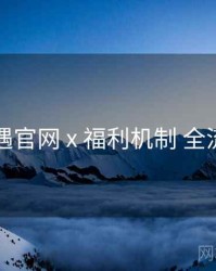 岛遇官网 x 福利机制 全流程