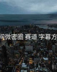 秘语空间微密圈 赛道 字幕方案 复盘