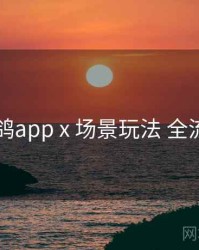 电鸽app x 场景玩法 全流程