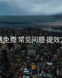 岛遇免费 常见问题 提效方案