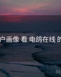 从 用户画像 看 电鸽在线 的优势