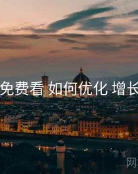 电鸽免费看 如何优化 增长路径