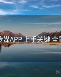 花季传媒APP 上手关键 全景观察