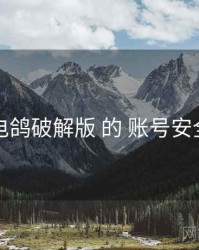 围绕 电鸽破解版 的 账号安全 思路