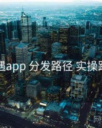 岛遇app 分发路径 实操路径