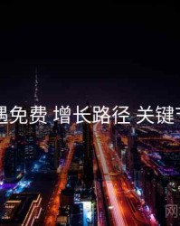 岛遇免费 增长路径 关键节点