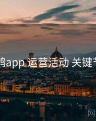 电鸽app 运营活动 关键节点