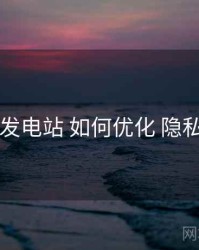 岛遇发电站 如何优化 隐私设置
