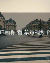 从 用户画像 看 草莓视频 的优势