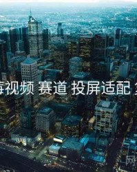 草莓视频 赛道 投屏适配 复盘