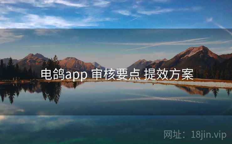 电鸽app 审核要点 提效方案 电鸽app 审核要点 提效方案